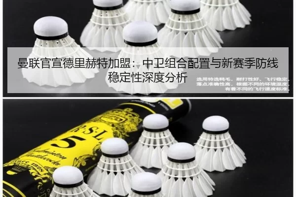 man-lian-guan-xuan-de-li-he-te-jia-meng-zhong-wei-zu-he-pei-zhi-yu-xin-sai-ji-fang-xian-wen-ding-xing-shen-du-fen-xi-2-688.jpg