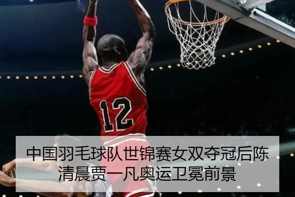 中国羽毛球队世锦赛女双夺冠后陈清晨贾一凡奥运卫冕前景